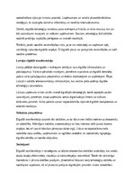 Essays 'Digitālā transformācija ekonomikā: iespējas un izaicinājumi', 2.