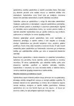 Essays 'Apdrošināšanas nozīme mūsdienu ekonomikā un sabiedrībā: veidi, funkcijas, tenden', 6.