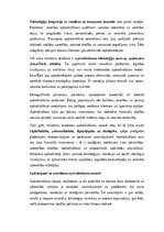 Essays 'Apdrošināšanas nozīme mūsdienu ekonomikā un sabiedrībā: veidi, funkcijas, tenden', 8.