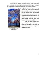 Research Papers 'Saldo ķiršu (Prunus avium) selekcija', 5.