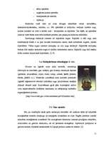 Research Papers 'Saldo ķiršu (Prunus avium) selekcija', 11.