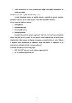 Term Papers 'SIA “Auto AB darbības analīze”', 5.