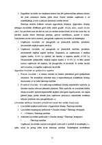 Term Papers 'SIA “Auto AB darbības analīze”', 20.