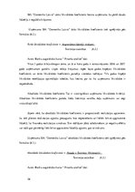 Practice Reports 'Prakses pārskats  SIA "Х Latvia"', 26.
