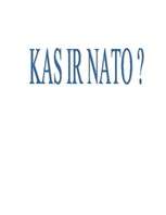 Research Papers 'NATO', 1.