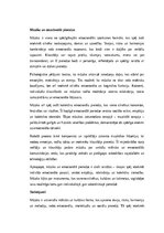 Essays 'Mūzika: skaņas, emocijas un kultūras nozīme', 4.