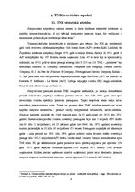 Research Papers 'TNK būtība un loma ekonomikas attīstībā', 4.