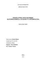 Research Papers 'LiFePO4 litija jonu bateriju katodmateriāla analīze un optimizācija', 1.