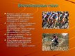 Presentations 'Велосипед', 9.