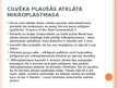 Presentations 'Mikroplastmasa cilvēka organismā', 20.