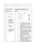 Summaries, Notes 'Sižetiskā šķēršļu josla sporta stundā', 3.