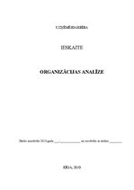Essays 'Organizācijas analīze', 1.