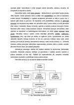 Research Papers 'Pašvaldību sistēmas jēdziens un struktūra', 15.