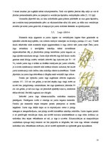 Summaries, Notes 'Mansards - parametri un konstrukcija', 10.