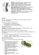 Summaries, Notes 'RSU Molekulārā un šūnu bioloģija 1. kolokvijam vajadzīgais konspekts', 3.