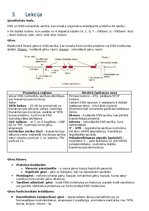 Summaries, Notes 'RSU Molekulārā un šūnu bioloģija 1. kolokvijam vajadzīgais konspekts', 5.