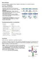 Summaries, Notes 'RSU Molekulārā un šūnu bioloģija 1. kolokvijs', 9.
