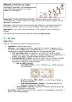 Summaries, Notes 'RSU Molekulārā un šūnu bioloģija 1. kolokvijs', 11.
