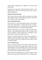 Essays 'Skola un sports kā holistiskas skolēna attīstības dimensijas: intelekts, ķermeni', 5.