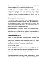 Essays 'Skola un sports kā holistiskas skolēna attīstības dimensijas: intelekts, ķermeni', 6.