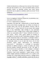 Research Papers 'Cilvēktiesību pārkāpumi - policijas pārkāpumi, diskriminācija, spīdzināšana, ter', 13.