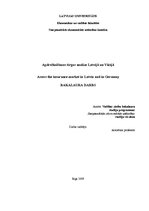 Term Papers 'Apdrošināšanas tirgus analīze Latvijā un Vācijā', 1.