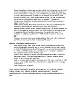 Summaries, Notes 'Pilsēta Aleksandra Čaka dzejoļu krājumā "Mana paradīze"', 2.