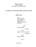 Term Papers 'Transporta maršrutizācijas problēmu risināšanas iespējas', 1.