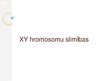 Presentations 'XY hromosomu slimības', 1.