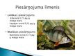 Presentations 'Noturīgās vidi piesārņojošās organiskās vielas Latvijas ūdeņu zivīs', 11.
