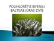 Presentations 'Noturīgās vidi piesārņojošās organiskās vielas Latvijas ūdeņu zivīs', 19.
