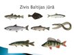 Presentations 'Noturīgās vidi piesārņojošās organiskās vielas Latvijas ūdeņu zivīs', 20.