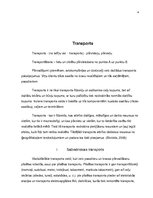Research Papers 'Sabiedriskaias vai privātais transports - izdevīgākais risinājums', 4.