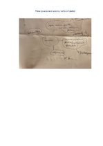 Essays 'Mans guvums no latviešu literatūras', 1.