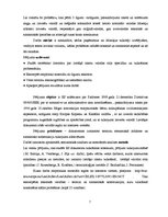 Research Papers 'Leksikas un sintakses vienību tulkošanas problēmas Eiropas Savienības dokumentos', 7.