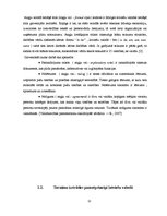 Research Papers 'Leksikas un sintakses vienību tulkošanas problēmas Eiropas Savienības dokumentos', 11.