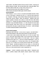 Research Papers 'Leksikas un sintakses vienību tulkošanas problēmas Eiropas Savienības dokumentos', 23.