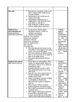 Practice Reports 'Pirmsskolas skolotāja pedagoģiskā prakses dienasgrāmata', 25.