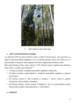 Practice Reports 'Vides aizsardzības prakse. AS "Latvijas valsts meži"', 13.