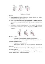 Research Papers 'Ergoterapeita taktika  “Stāvoklis pēc gūžas locītavas endoprotezēšanas”', 14.