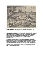 Research Papers 'Pīters Breigels ( citur kā Brēgels) Vecākais (Pieter Bruegel jeb Brueghel, jeb B', 6.
