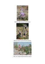 Summaries, Notes 'Dabas liegums - Posolnīca', 3.