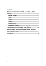 Essays 'Analītiskais darbs vadībzinībās', 2.