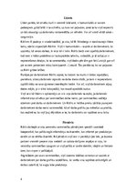 Essays 'Analītiskais darbs vadībzinībās', 4.