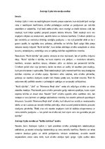 Summaries, Notes 'Andreja Upīša trīs noveļu analīze', 1.