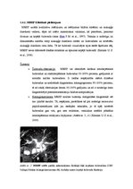 Research Papers 'Magnētiskās rezonanses izmeklējumi un magnētiskās rezonanses holangiogrāfija', 6.