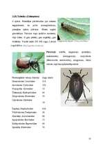 Research Papers 'Kukaiņi - Insecta', 23.