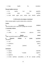 Research Papers 'Mākslīgā intelekta ietekme uz darba tirgu: izaicinājumi, riski un nākotnes attīs', 29.