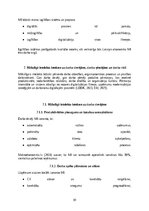 Research Papers 'Mākslīgā intelekta ietekme uz darba tirgu: izaicinājumi, riski un nākotnes attīs', 31.