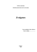 Research Papers 'Zvaigznes', 1.